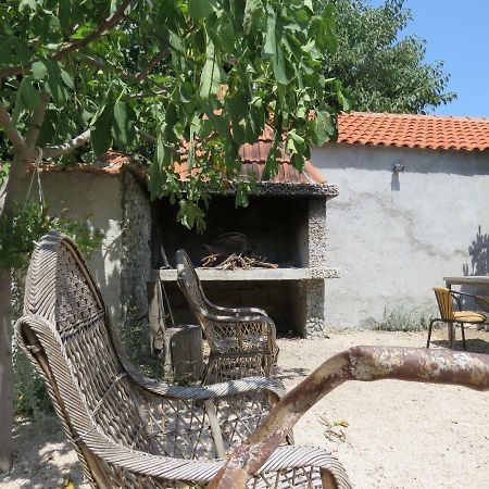 Guesthouse Dila Galovac  Екстериор снимка