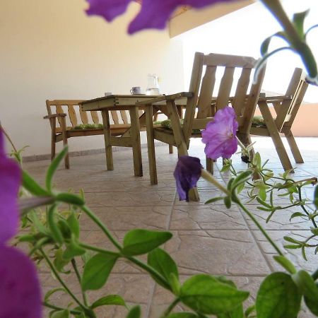 Guesthouse Dila Galovac  Екстериор снимка