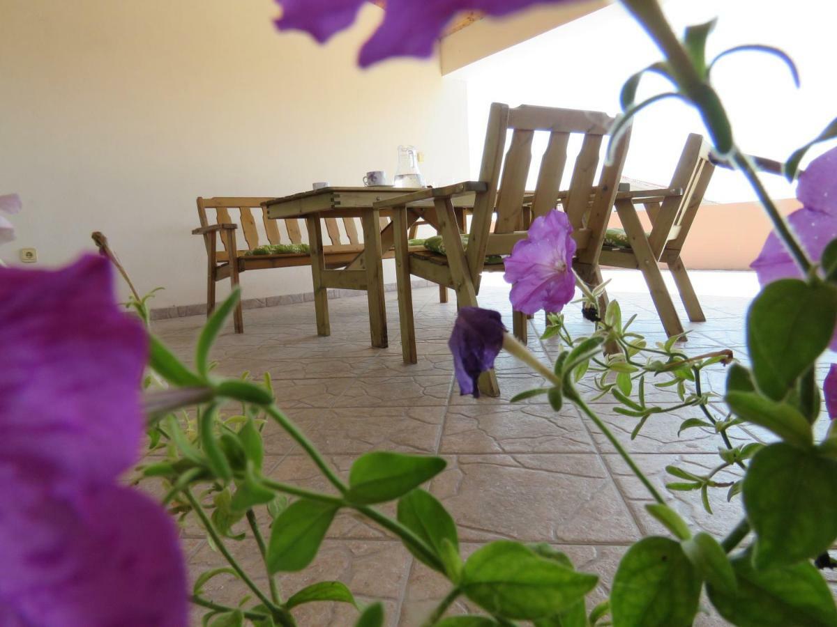 Guesthouse Dila Galovac  Екстериор снимка